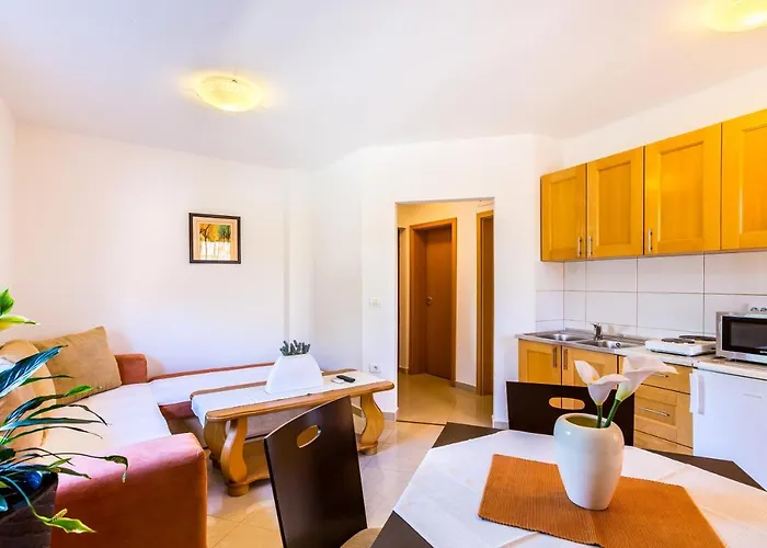 Appartement Boro Medulin